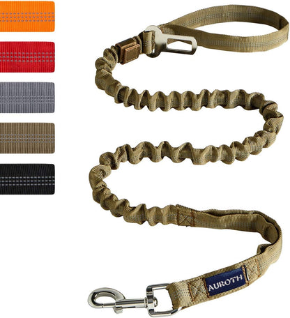 Bungee Dog Leash for Large Breeds with Shock Absorption and No-Pull Design