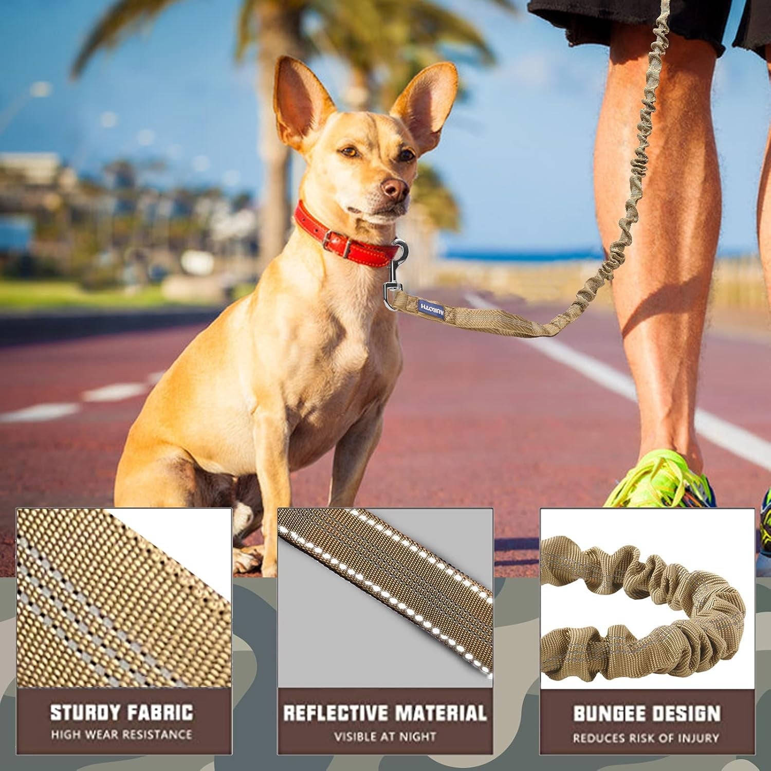 Bungee Dog Leash for Large Breeds with Shock Absorption and No-Pull Design