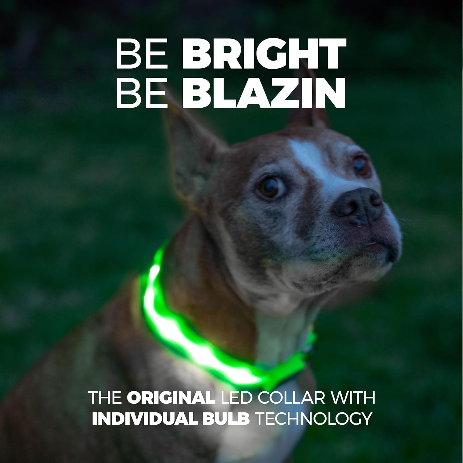 LED Dog Collar - Original USB Rechargeable and Waterproof Design - 1,000 Feet Visibility - Suitable for Small, Medium, and Large Dogs - Made in the USA