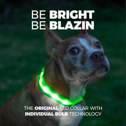 LED Dog Collar - Original USB Rechargeable and Waterproof Design - 1,000 Feet Visibility - Suitable for Small, Medium, and Large Dogs - Made in the USA