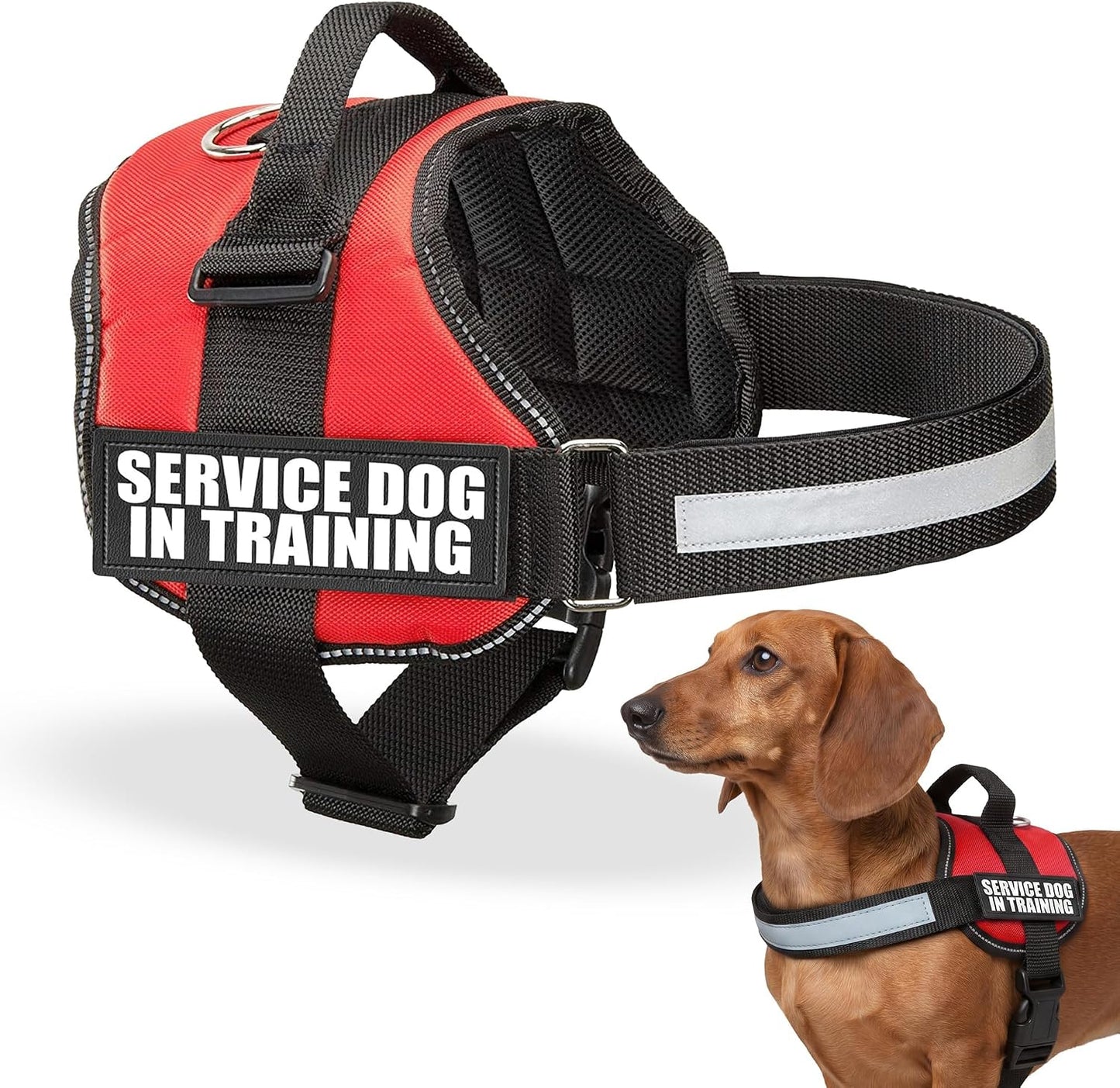 Service Dog Training Vest Harness, Extra Small (16.5-21.5 in), Red