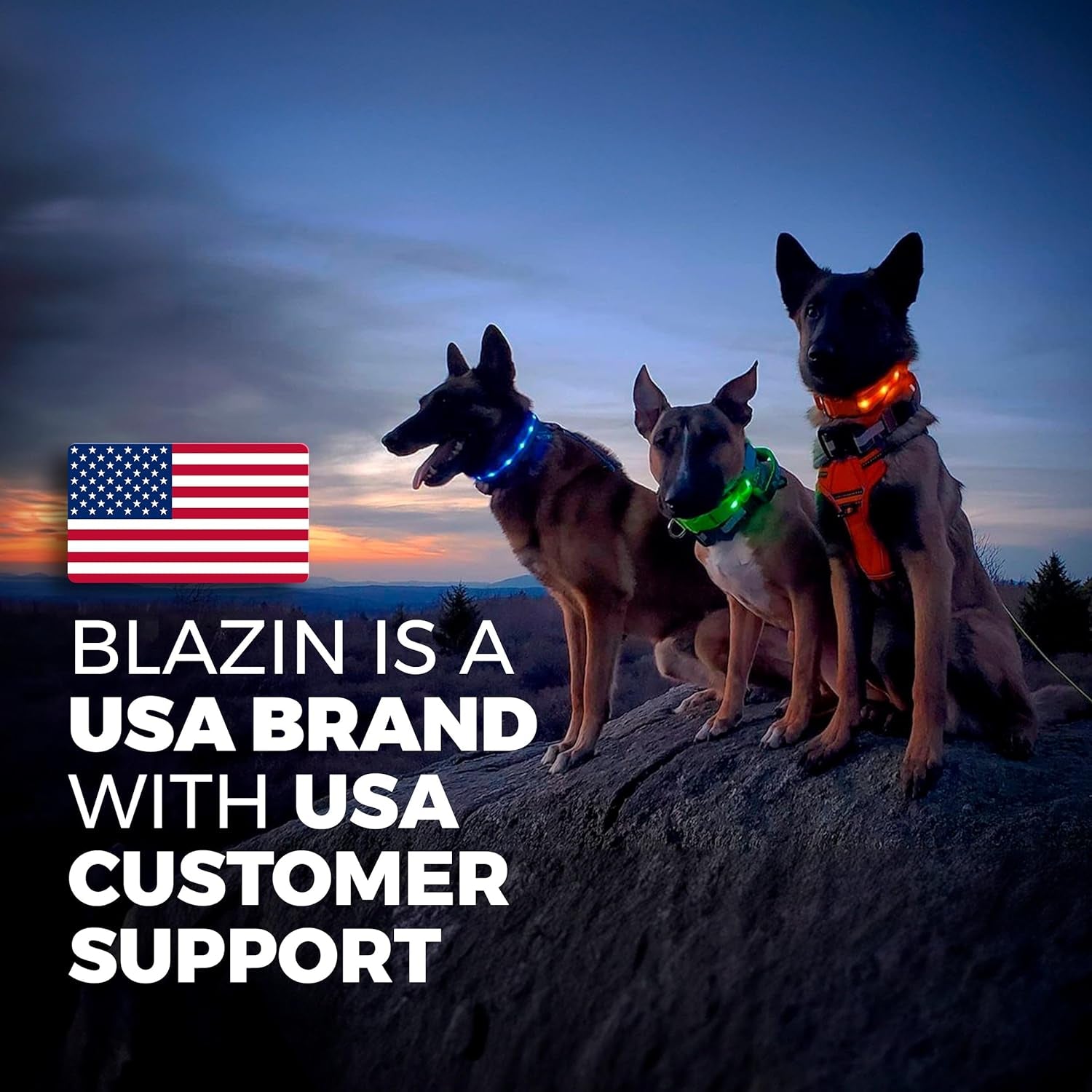 LED Dog Collar - Original USB Rechargeable and Waterproof Design - 1,000 Feet Visibility - Suitable for Small, Medium, and Large Dogs - Made in the USA