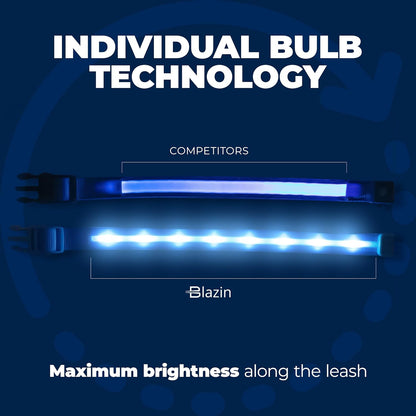 LED Dog Collar - Original USB Rechargeable and Waterproof Design - 1,000 Feet Visibility - Suitable for Small, Medium, and Large Dogs - Made in the USA