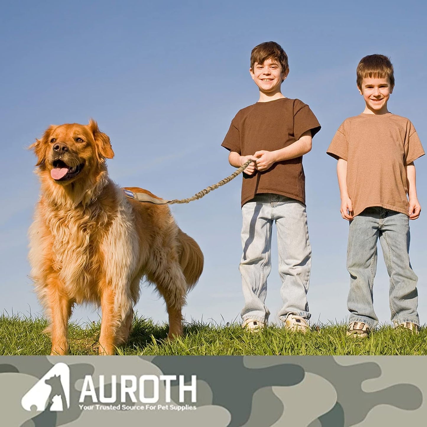 Bungee Dog Leash for Large Breeds with Shock Absorption and No-Pull Design