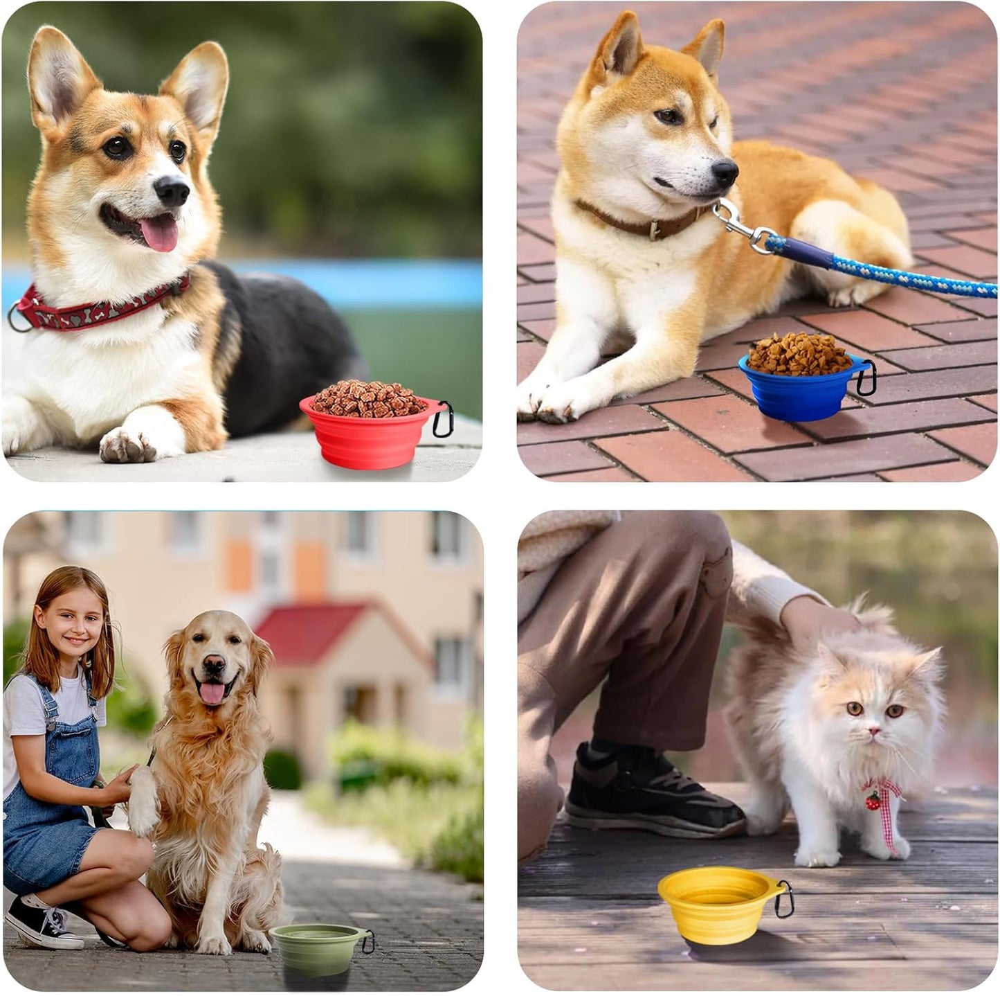 Silicone Collapsible Dog Bowls - 2-Pack, BPA Free, Dishwasher Safe, Portable and Expandable Travel Feeding Cups for Dogs and Cats with 2 Carabiners (Army Green, Blue)