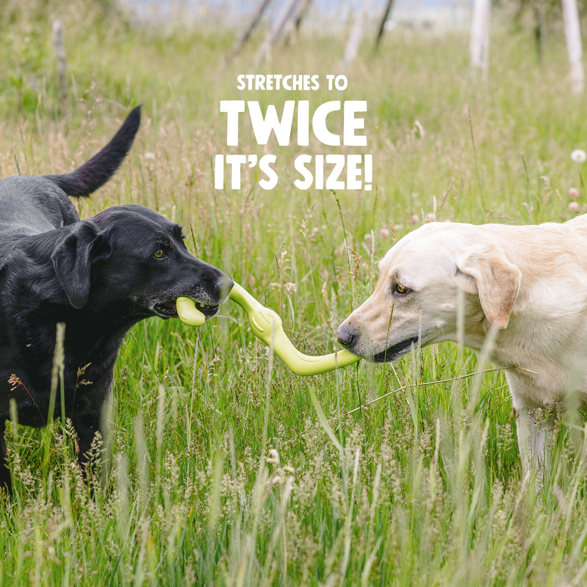 Bumi BUILT FOR GENTLE CHEWERS
Flexing to twice its length during tug-of-war, this S-shaped dog toy is a fan favorite. The smart design makes it a natural for fetch, tug-of-war, keep away, and other dog-and-human games.

Bumi’s stretchy shape makes for epi