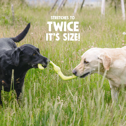Bumi BUILT FOR GENTLE CHEWERS
Flexing to twice its length during tug-of-war, this S-shaped dog toy is a fan favorite. The smart design makes it a natural for fetch, tug-of-war, keep away, and other dog-and-human games.

Bumi’s stretchy shape makes for epi