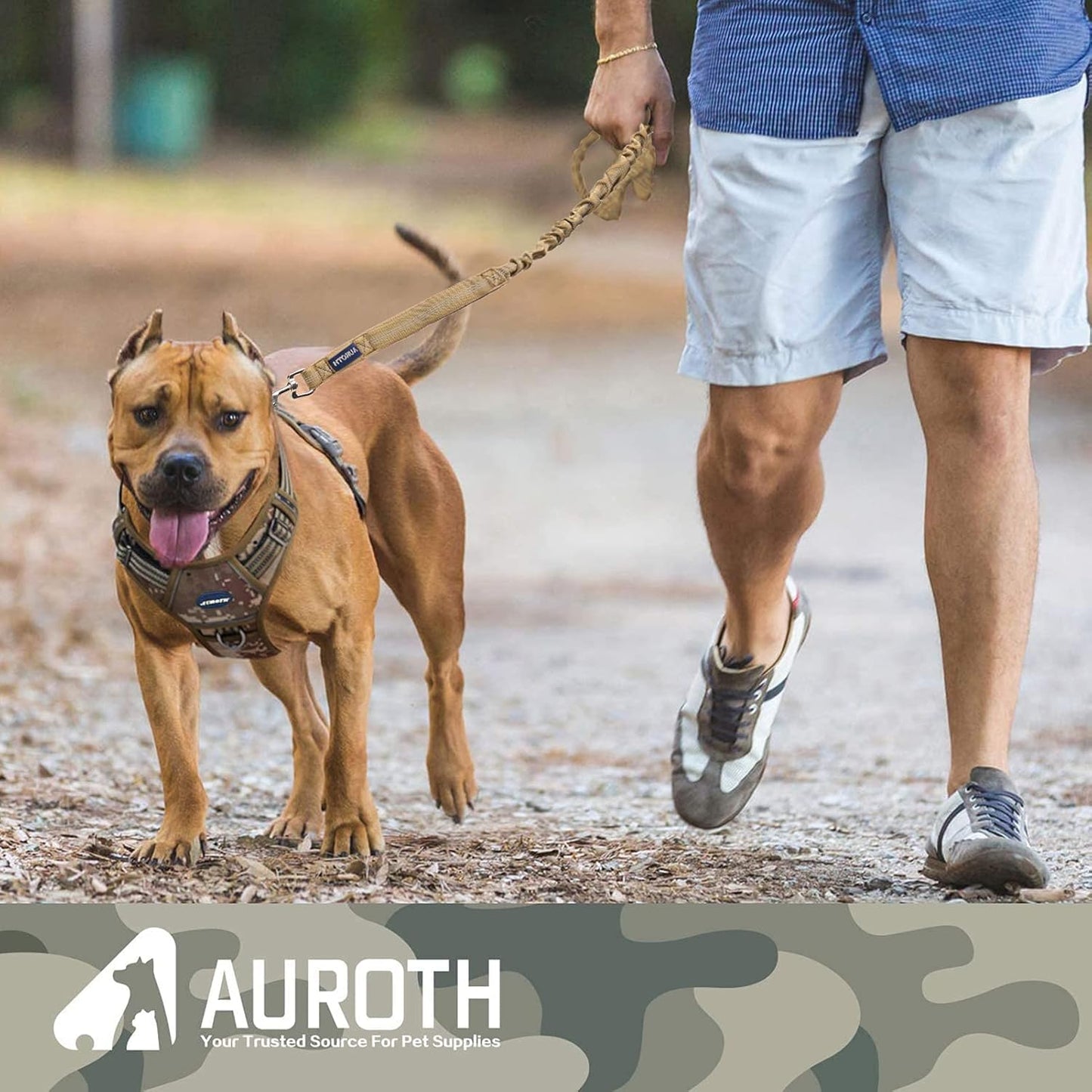 Bungee Dog Leash for Large Breeds with Shock Absorption and No-Pull Design
