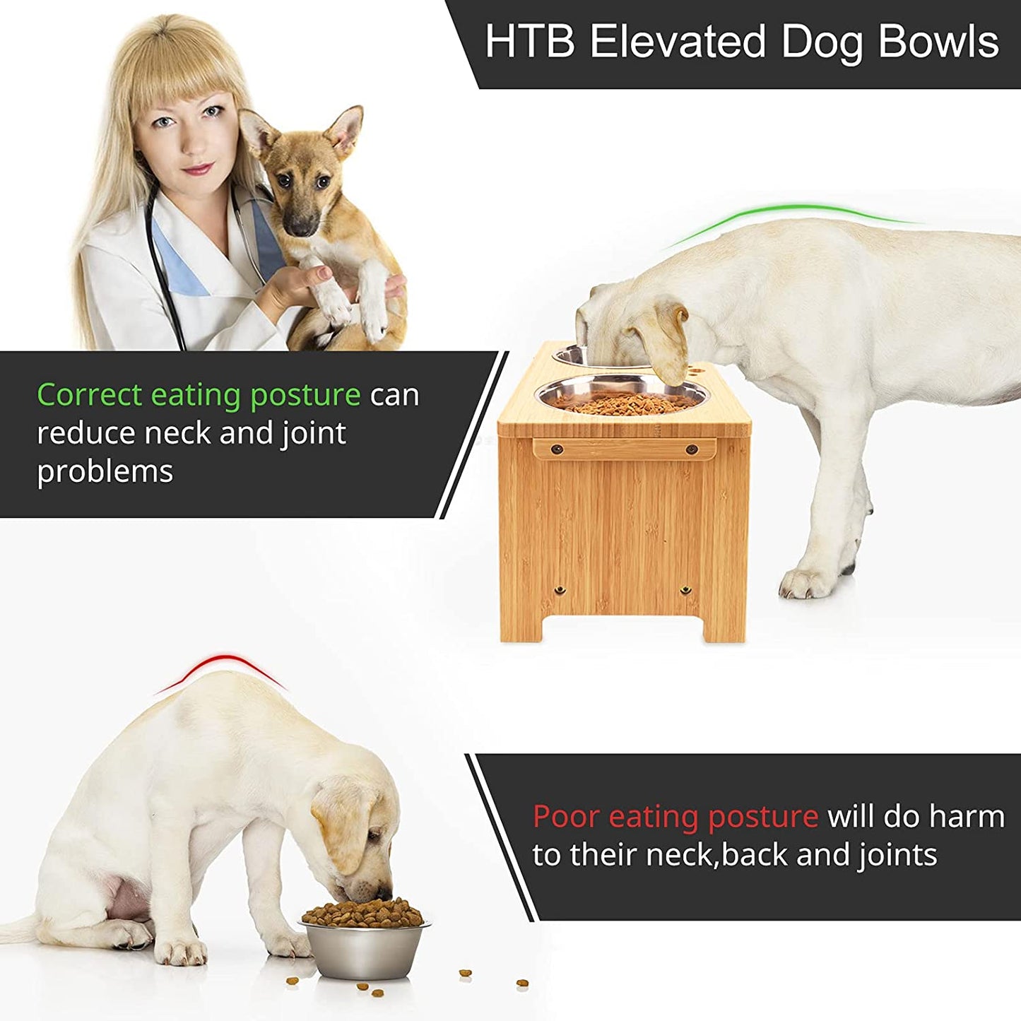 Elevated Dog Bowl Stand with Two Stainless Steel Bowls for Small, Medium, and Large Breeds