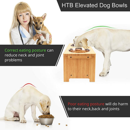 Elevated Dog Bowl Stand with Two Stainless Steel Bowls for Small, Medium, and Large Breeds