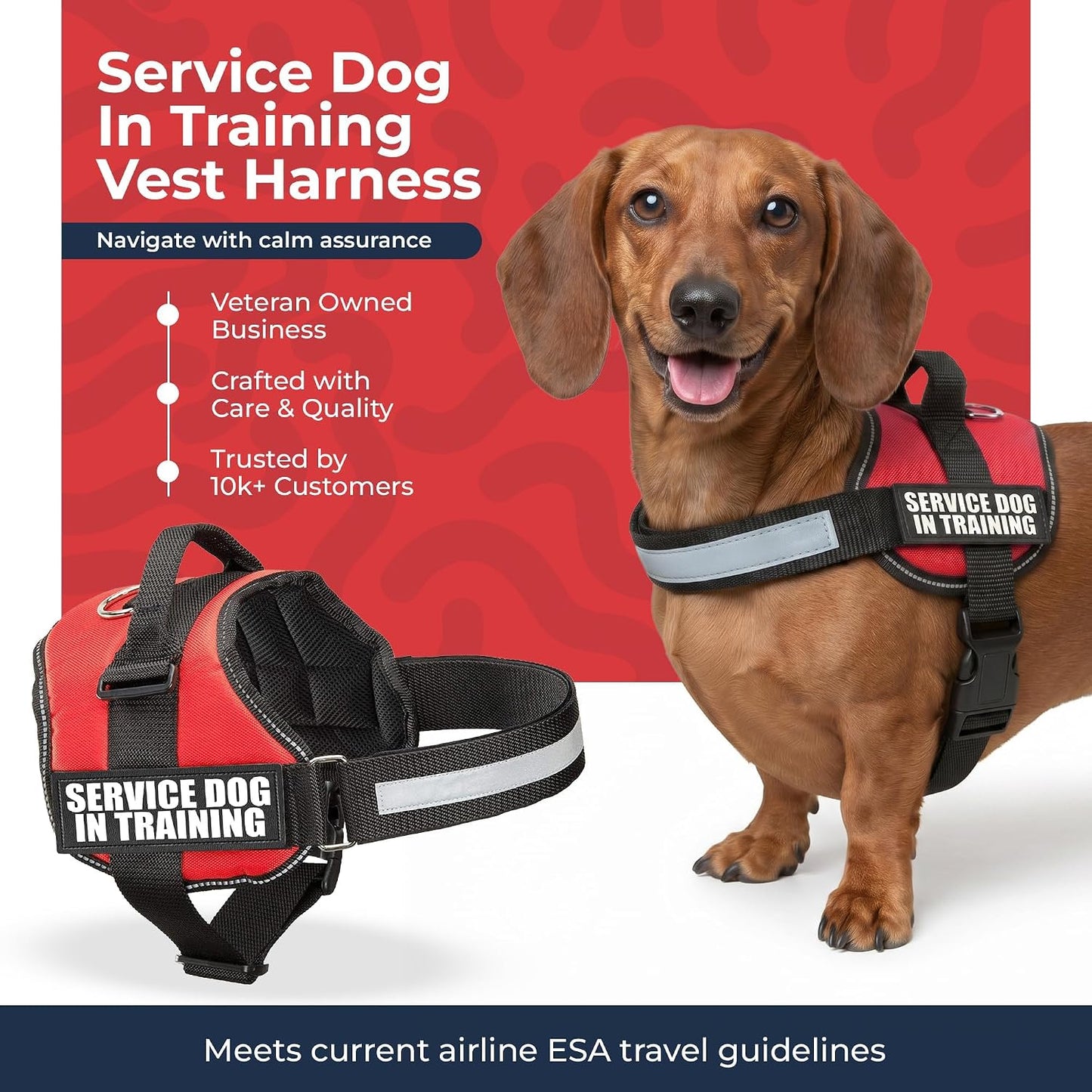 Service Dog Training Vest Harness, Extra Small (16.5-21.5 in), Red