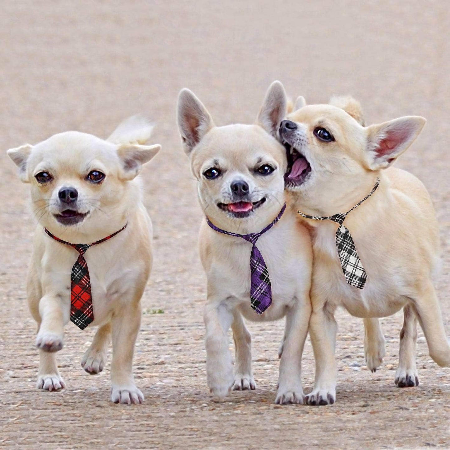 Adjustable Dog Neckties for Large Breeds - Premium Pet Bow Ties and Grooming Accessories for Special Occasions and Costumes