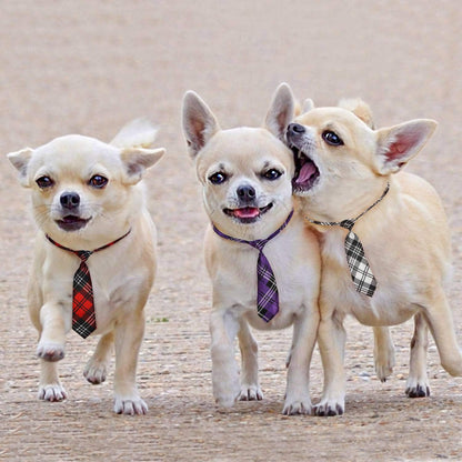 Adjustable Dog Neckties for Large Breeds - Premium Pet Bow Ties and Grooming Accessories for Special Occasions and Costumes