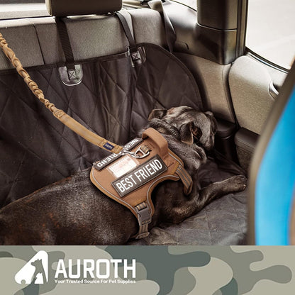 Bungee Dog Leash for Large Breeds with Shock Absorption and No-Pull Design