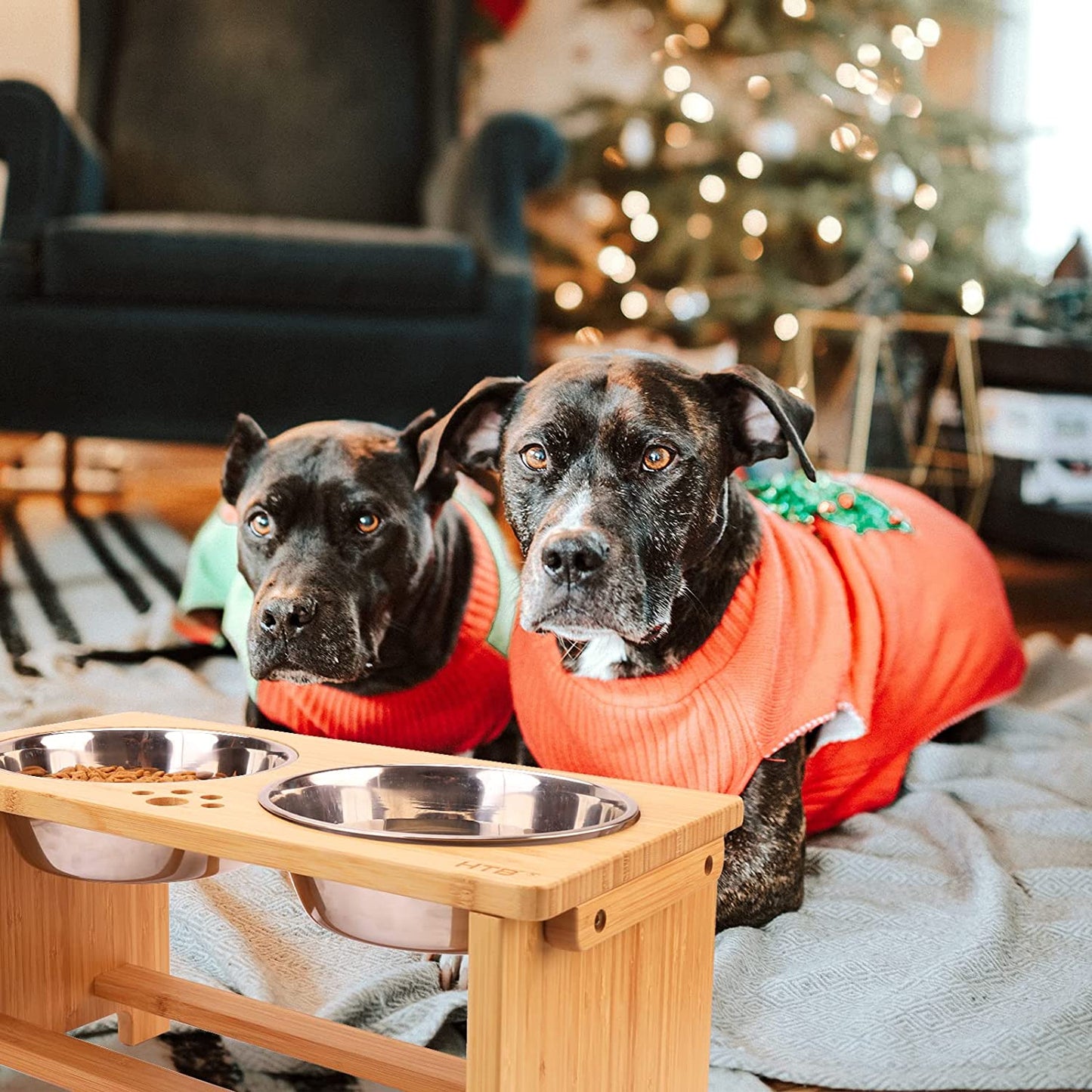 Elevated Dog Bowl Stand with Two Stainless Steel Bowls for Small, Medium, and Large Breeds