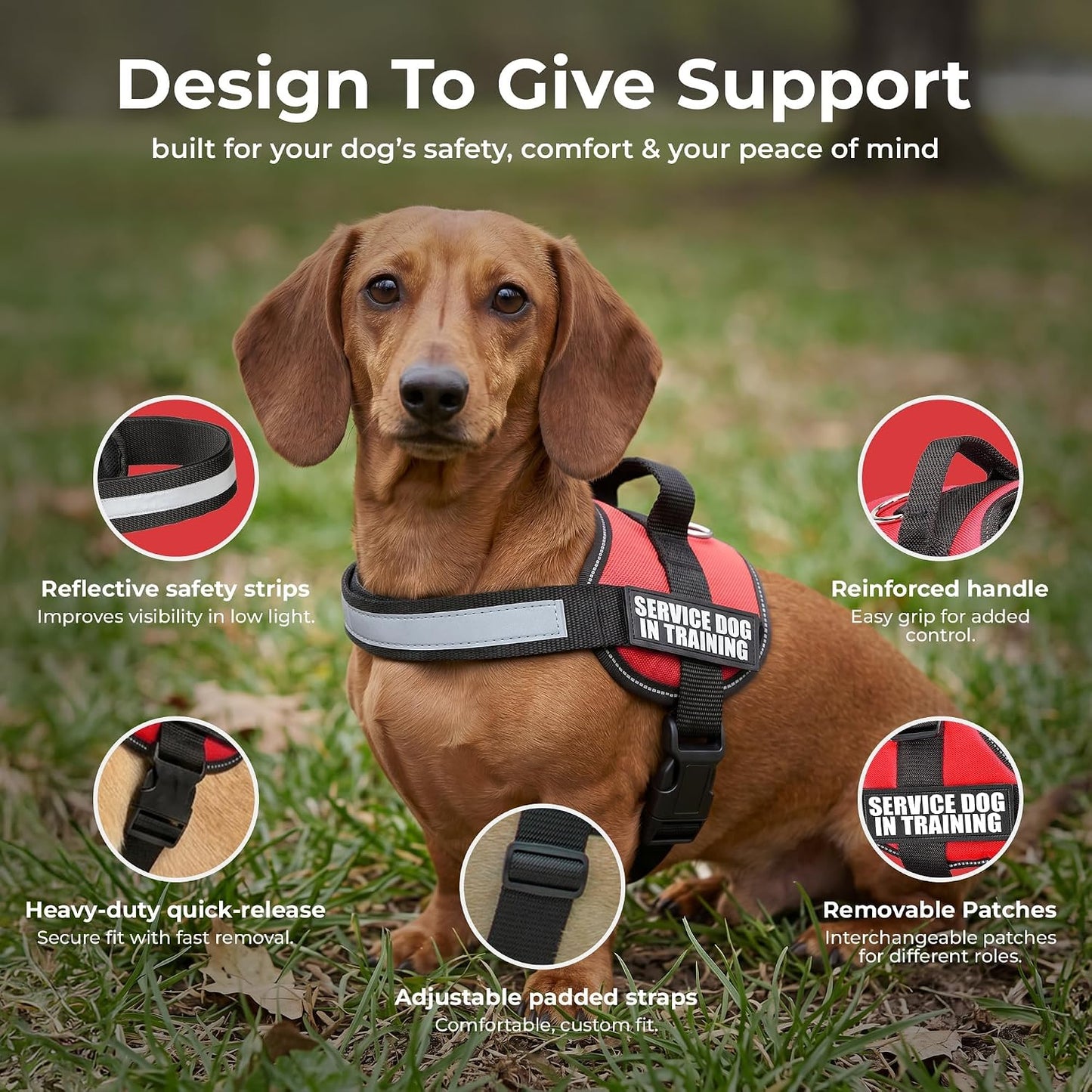 Service Dog Training Vest Harness, Extra Small (16.5-21.5 in), Red