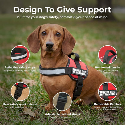 Service Dog Training Vest Harness, Extra Small (16.5-21.5 in), Red